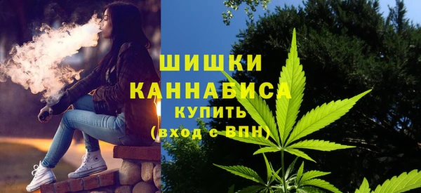 прущий лед Абаза