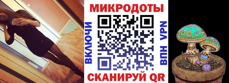 Псилоцибиновые грибы прущие грибы  Шлиссельбург 